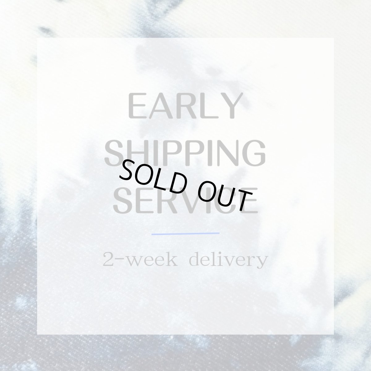 Photo1: EARLY SHIPPING SERVICE (1)